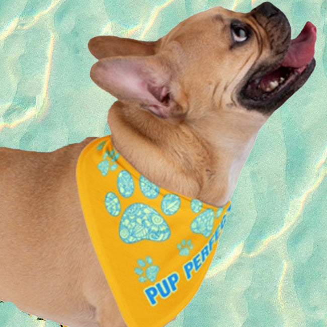 Spoil Your Pets