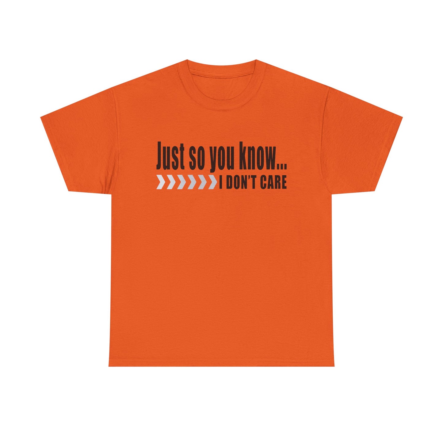 Just so you know...I don't care!  T-Shirt