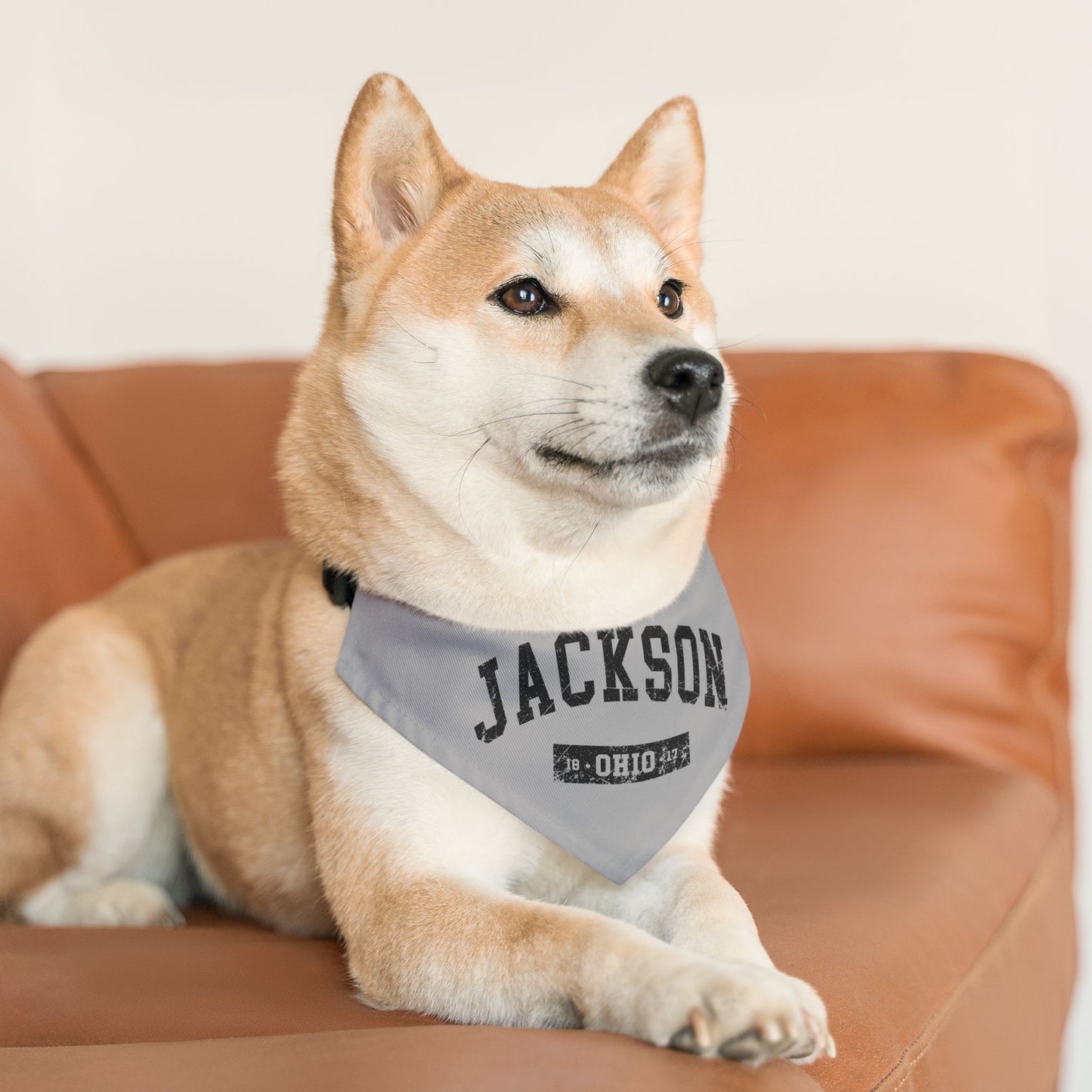 Jackson Pet Bandana Dog color